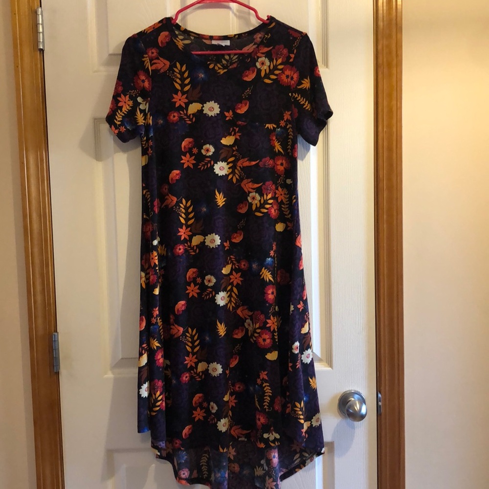 XS LulaRoe Carly Dress